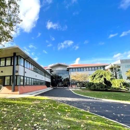 B1.jpg